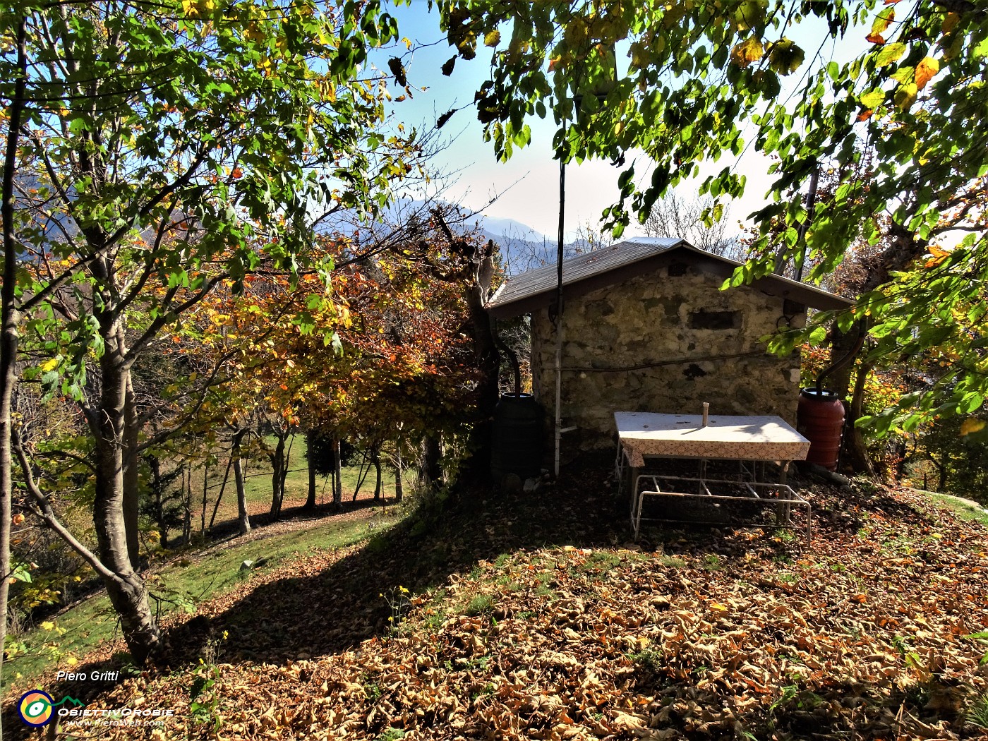 56 Passaggio al bel piccolo roccolo.JPG